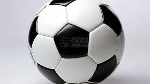 [德甲第25轮]波鸿3-2逆转拜仁慕尼黑 比赛亮点